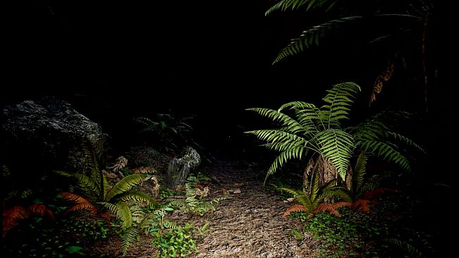 Red Light White Light