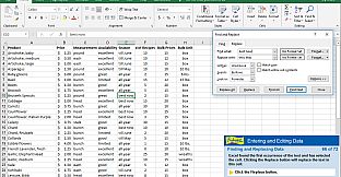 Professor Teaches Excel 2019