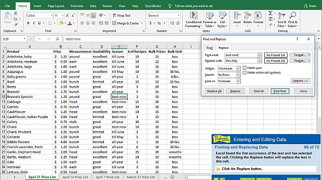 Professor Teaches Excel 2019