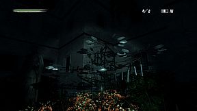 Pineview Drive - Homeless