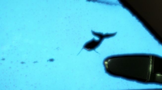 Phenomenal Car Park Adventure: Digital Deluxe Edition