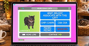 Meme Exam: Cats