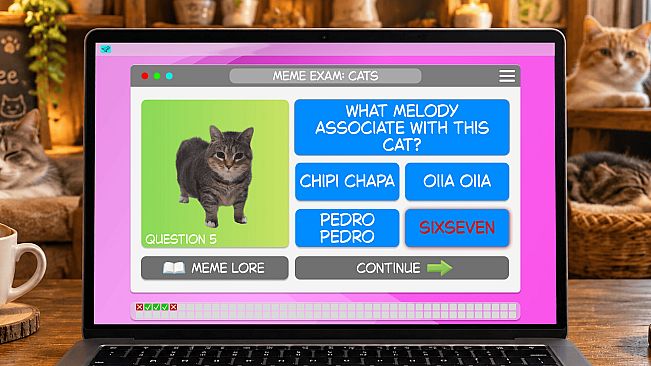 Meme Exam: Cats