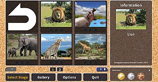 Jigsaw Masterpieces : Wildlife in Africa