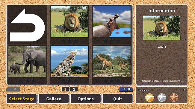Jigsaw Masterpieces : Wildlife in Africa