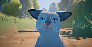 Cat a Photo