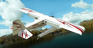 RealFlight Evolution - E-flite Timber 10-year Anniversary Edition 1.5m