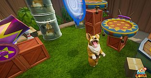 Stunt Corgi VR