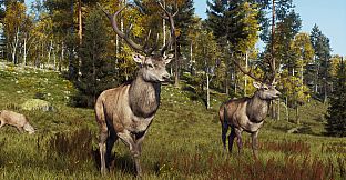 Way of the Hunter - Map Pack 2