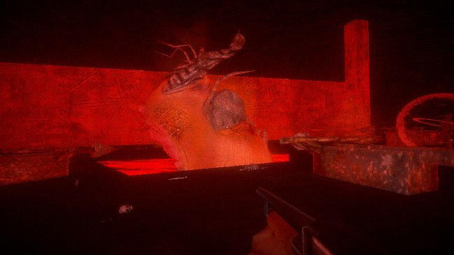 Fortuito: Lost History