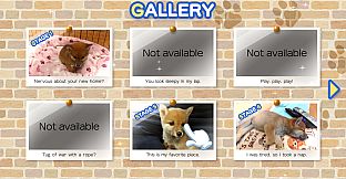 Shiba Mekuri 柴めくり