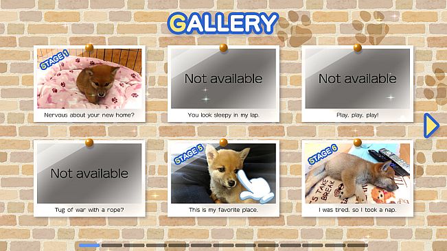 Shiba Mekuri 柴めくり