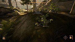 Treasure Hunter Simulator