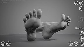 HAELE 3D - Feet Poses Lite - Drawing References