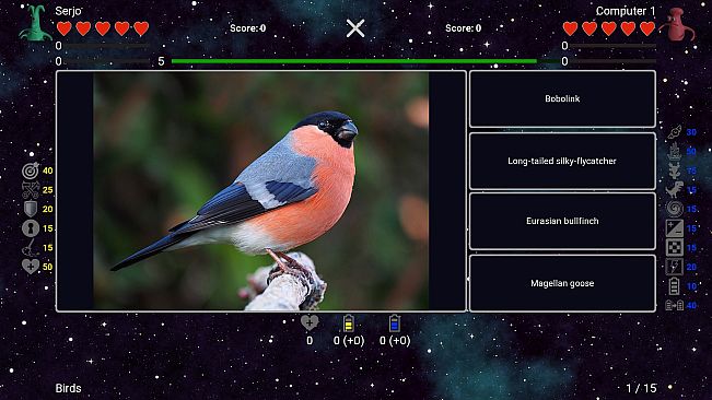 I've Seen Everything - Birds