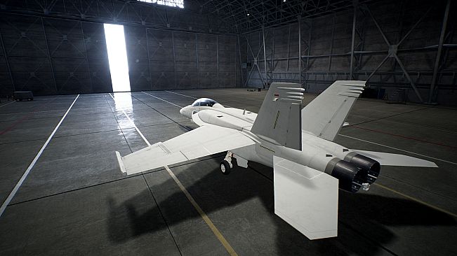 ACE COMBAT7: SKIES UNKNOWN - F/A-18F Super Hornet Block III Set