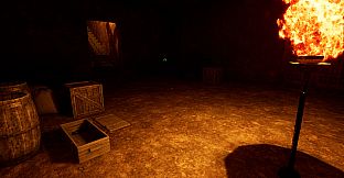 The Thief In The Dark