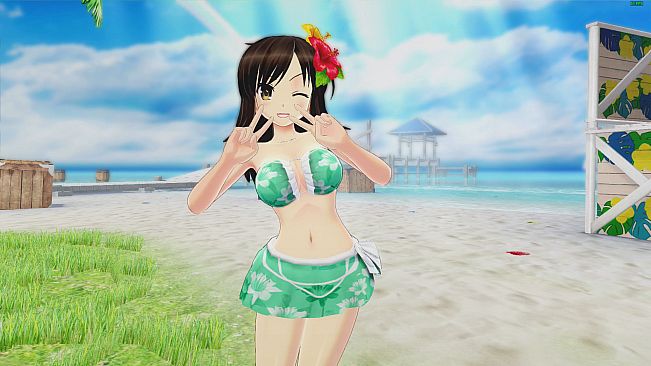 SENRAN KAGURA Peach Beach Splash - Awakened Character Pack