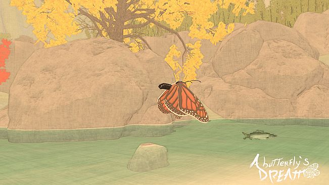 A Butterfly's Dream