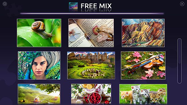 Master of Pieces  Jigsaw Puzzle