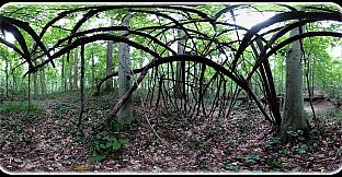 Exhale XR - Sanctuary - Spoken Word