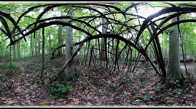 Exhale XR - Sanctuary - Spoken Word