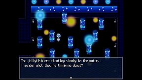 The Aquarium does not dance Special Edition