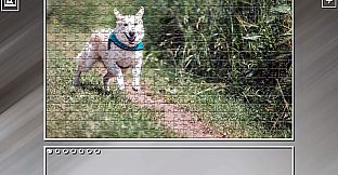 Super Jigsaw Puzzle: Generations - Dogs 3