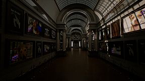 Arcade Games for Pets