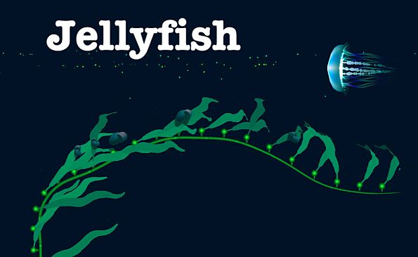 Jellyfish