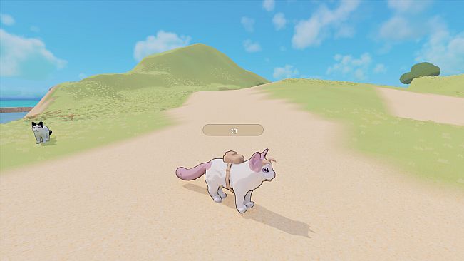 That Cozy Cat Game