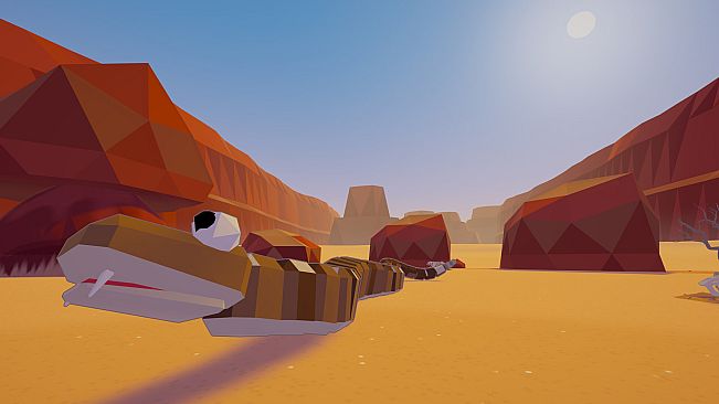 Dust & Dig