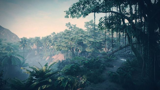 Essex: The Whale Hunter