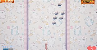 Challenge from the Black Cat