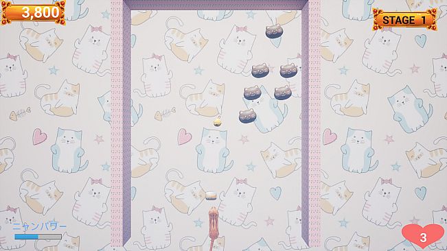 Challenge from the Black Cat