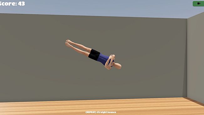 Gymnastics Simulator