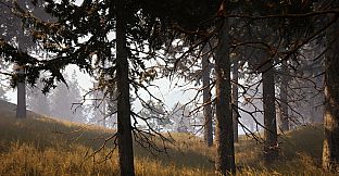 Wildwood: Hearth & Horizon