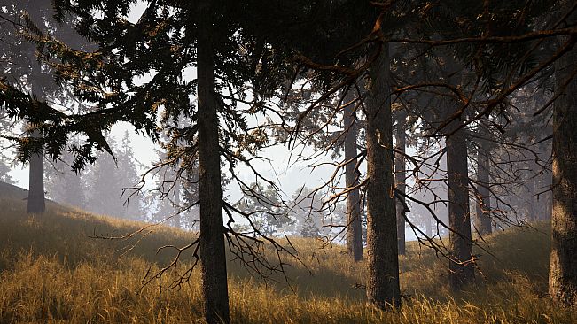 Wildwood: Hearth & Horizon