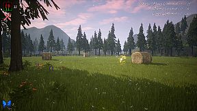 The Place I Called Home