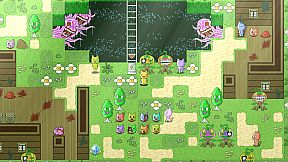 モララーのもつ鍋〆のおうどん