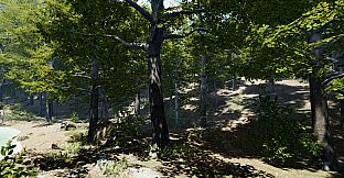 Secrets of a Campfire