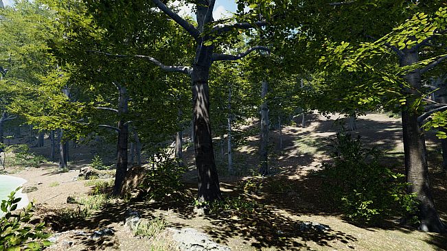 Secrets of a Campfire