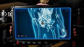 Quarantine Zone: The Last Check