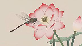 Fantasy Puzzle 3D奇幻拼图世界VR