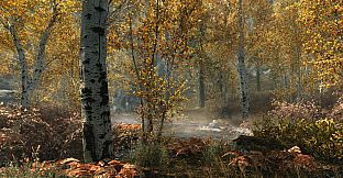 Skyrim Special Edition + Fallout 4 G.O.T.Y Bundle