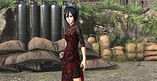 Additional Mikasa Costume: Chinese Dress Outfit