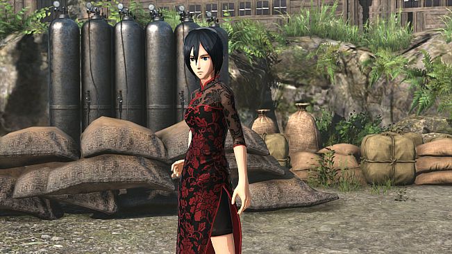 Additional Mikasa Costume: Chinese Dress Outfit