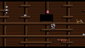 Spiritual Warfare & Wisdom Tree Collection