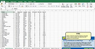Professor Teaches Excel 2016 – Mac