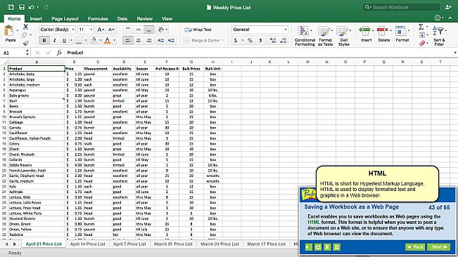 Professor Teaches Excel 2016 – Mac
